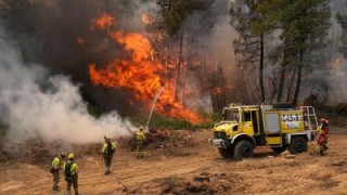 Francia detiene a 400 personas implicadas en incendios forestales