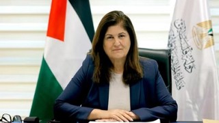 Palestina denuncia más de 11.000 agresiones israelíes desde 2023